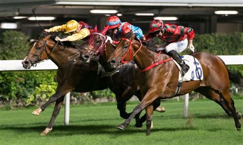 happy valley racing tips today|racing scmp tips.